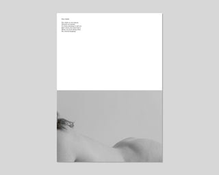 Marie Déhé & Haydée Touitou, We Have Been Meaning To / (poster edition) Marie Déhé & Haydée Touitou, We Have Been Meaning To / (poster edition)