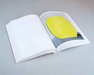 Ruth van Beek / How To Do The Flowers Ruth van Beek / How To Do The Flowers