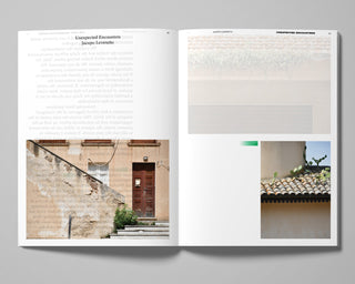 Decentering Design — Practice in a More-than- human World