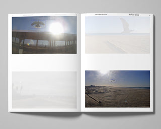 Decentering Design — Practice in a More-than- human World