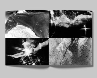 DAVID BLACK, THE DAYS