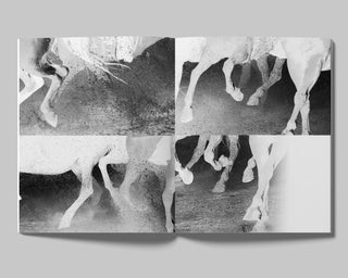 DAVID BLACK, THE DAYS