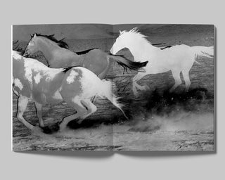 DAVID BLACK, THE DAYS