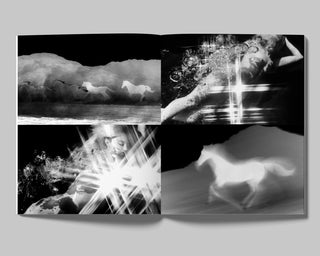 DAVID BLACK, THE DAYS