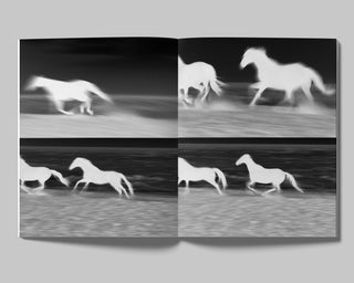 DAVID BLACK, THE DAYS