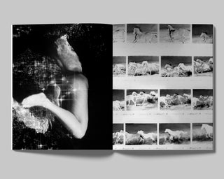 DAVID BLACK, THE DAYS