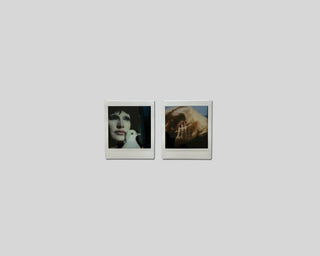 Camille Vivier, Polaroids / Special Edition