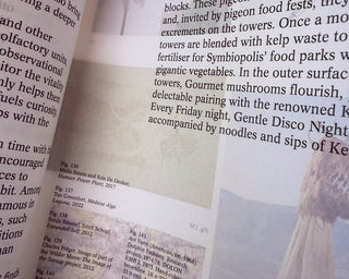 Decentering Design — Practice in a More-than- human World