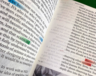 Decentering Design — Practice in a More-than- human World