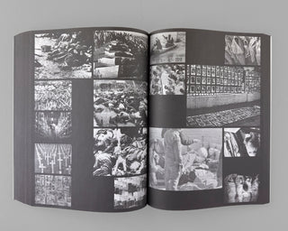 Ria Verhaeghe / Provisoria