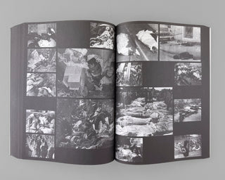 Ria Verhaeghe / Provisoria