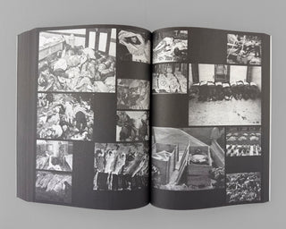 Ria Verhaeghe / Provisoria