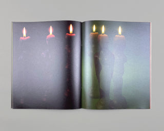 CAMILLE VIVIER, MONUMENT