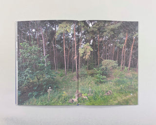 Gideon Kiefer / I'm Lost in a Forest