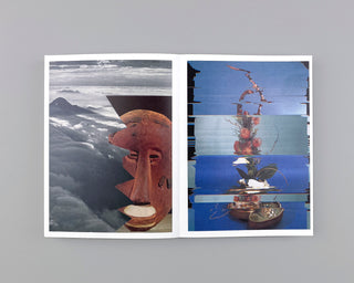 Nico Krijno / Collages 2020-2022