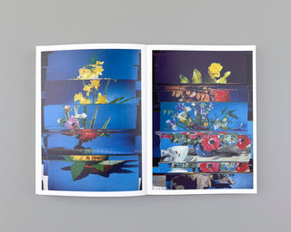 Nico Krijno / Collages 2020-2022