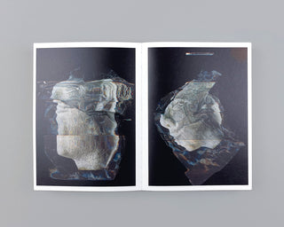 Nico Krijno / Collages 2020-2022