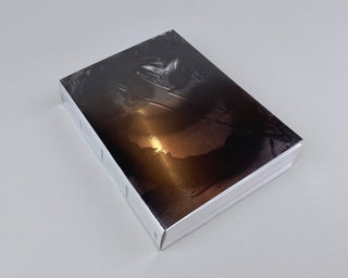 Nico Krijno / Collages 2020-2022