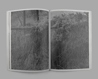 Hassan Kurbanbaev / One Head and Thousand  Years