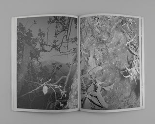 Hassan Kurbanbaev / One Head and Thousand  Years