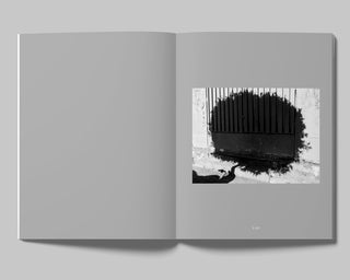 Sybren Vanoverberghe / INDEX