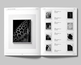 Sybren Vanoverberghe / INDEX