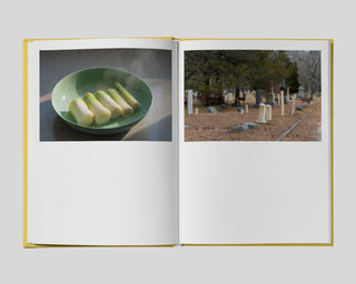 Lisa Donneson / Irreversible Order