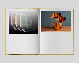 Lisa Donneson / Irreversible Order