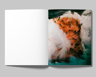 Lucile Boiron / Bouche