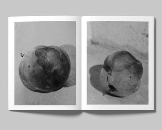 Lucile Boiron / Bouche