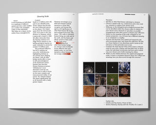 Decentering Design — Practice in a More-than- human World