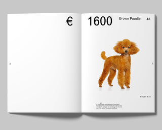 Zsofia Kollar / Object-Oriented Identity: Cultural Belongings from our Recent Past