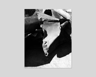 Sybren Vanoverberghe, Sandcastles And Rubbish / Special Edition