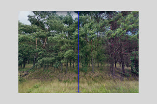 Gideon Kiefer / I'm Lost in a Forest