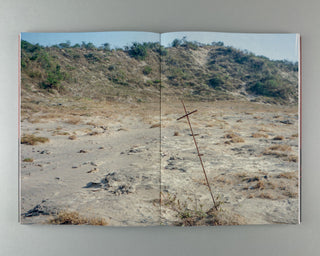 Adél Koleszár / Only Have Faith