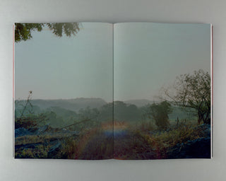 Adél Koleszár / Only Have Faith