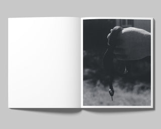 Francisco Cantón / Axolotl