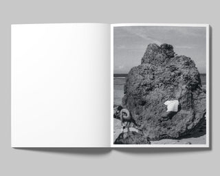 Francisco Cantón / Axolotl