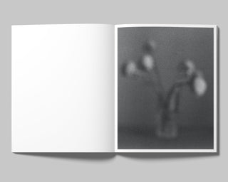 Francisco Cantón / Axolotl