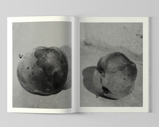 Lucile Boiron, Bouche / Special Edition