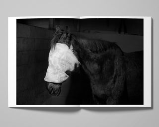 Tom Callemin / Double Reality