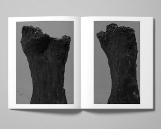 Tom Callemin / Double Reality