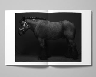 Tom Callemin / Double Reality