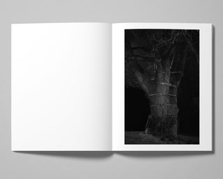 Tom Callemin / Double Reality