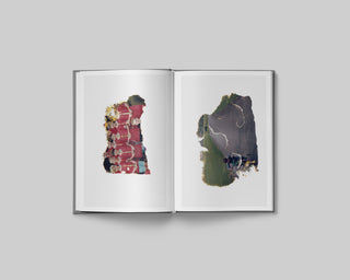 Tyler Sharkey / Distorted Memory
