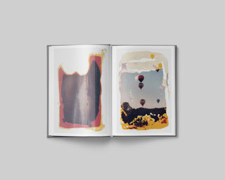Tyler Sharkey / Distorted Memory