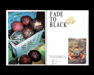 OpStap, Vincen Beeckman, Colin Pantall, Lien Van Leemput, APE / BIRDS OF A FEATHER