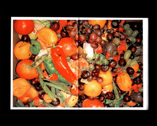 OpStap, Vincen Beeckman, Colin Pantall, Lien Van Leemput, APE / BIRDS OF A FEATHER