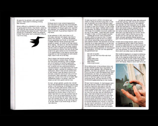 OpStap, Vincen Beeckman, Colin Pantall, Lien Van Leemput, APE / BIRDS OF A FEATHER