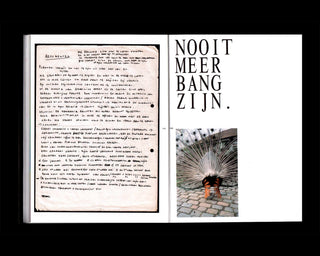 OpStap, Vincen Beeckman, Colin Pantall, Lien Van Leemput, APE / BIRDS OF A FEATHER